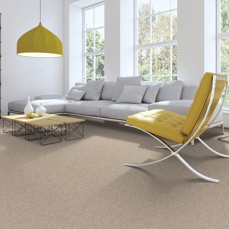 All Pro Floors providing stain-resistant pet proof carpet in Santa Rosa, CA