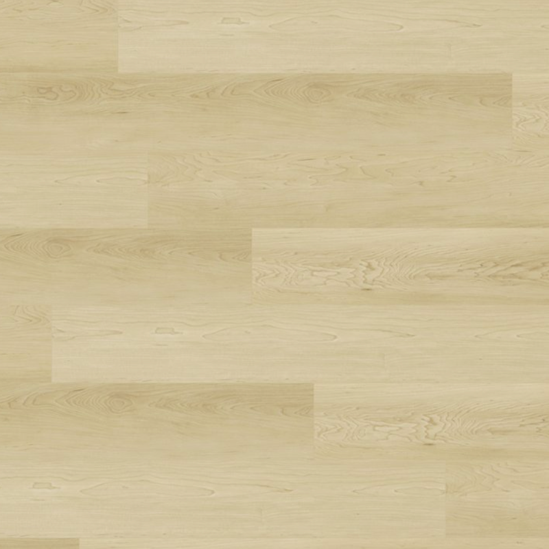 Gaia American Maple