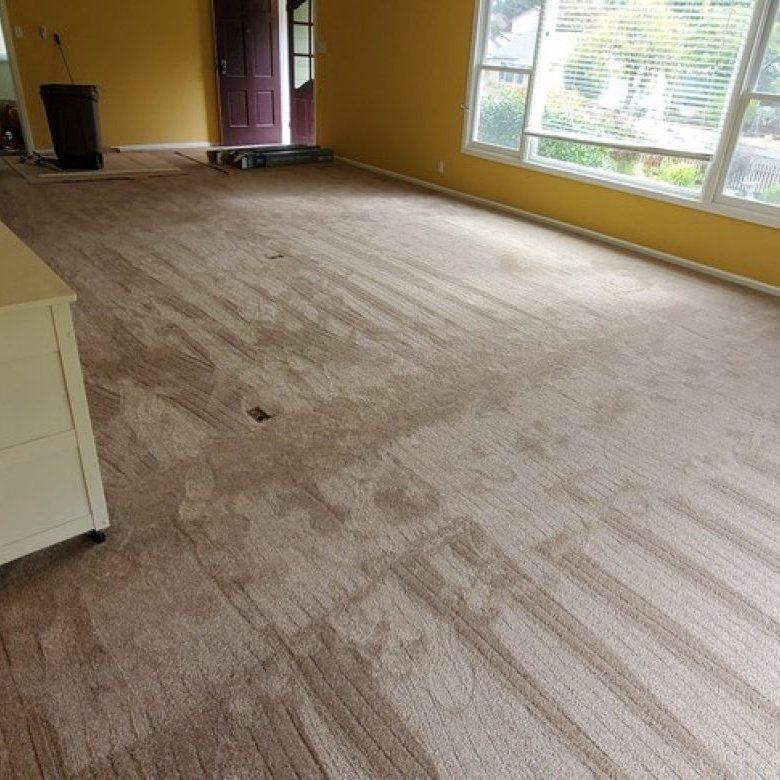 Carpeting project photos from All Pro Floors in Santa Rosa, CA